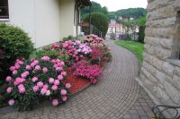 Weg zur Terrasse